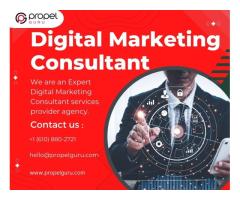 Hire the Best Digital Marketing Consultant for Businesses