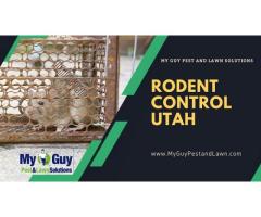 Get Rid of Rodents – Rodent Control Utah