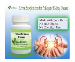 Herbal Products for Polycystic Kidney Disease