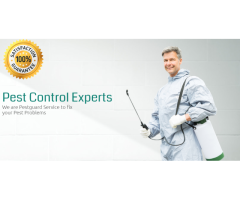 Pest Control Adelaide| Experienced Exterminators | Removal Up to 100%