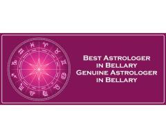 Best Astrologer in Donimalai Township