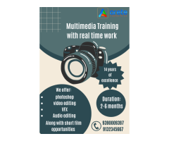 Best multimedia training with real-time work