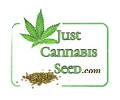 Win Free Marijuana Seeds