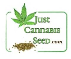 About 20 free cannabis seeds