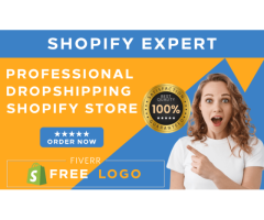 Let's Start Your Online E-commerce Dropshipping Business With Shopify