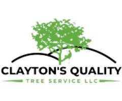 Stump Removal Deland - Clayton’s Quality Tree Service LLC