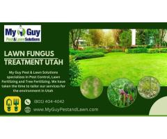 Effective Lawn Fungus Treatment in Utah - My Guy Pest and Lawn Solutions