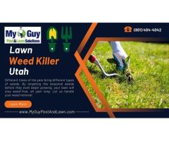 Banish Weeds and Reclaim Your Lawn with My Guy Pest and Lawn Solutions in Utah
