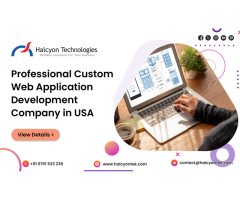 Web Application Development Company USA