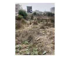 Property for sale in sector 13 Bahadurgarh | Manglamproperty