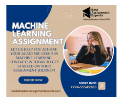 Machine Learning Assignment Service