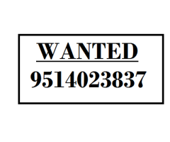 Wanted Data Processors For BPO