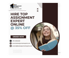 Hire Best Assignment Experts In The USA