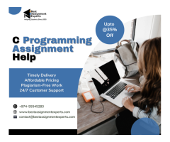 C Programming Assignment Help