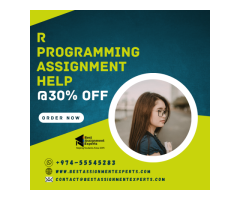 R Programming Assignment Help By Top Programmers
