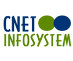 Best SEO Consultant in India | Cnet Infosystem