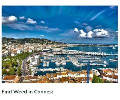 How and Where to Get Weed in Cannes