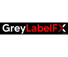 Kickstart Your Brokerage Venture with Greylabel-Fx at just $750/mo.