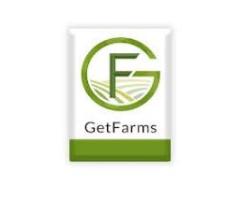 Mango Farmland for sale | Best Farm for Sale - Getfarms